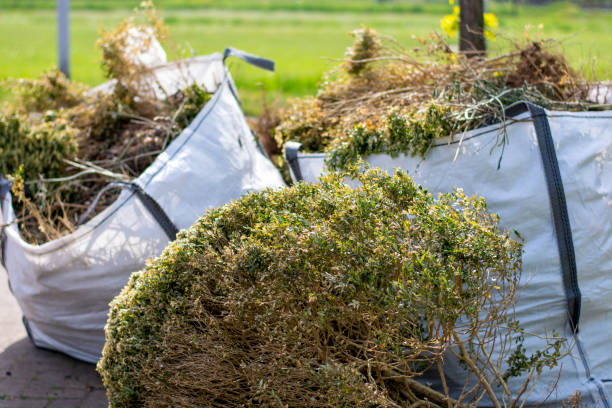 Best Yard Waste Removal  in Flandreau, SD